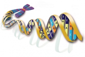 Informace je v DNA uložena jako sled písmen A, C, T, G.