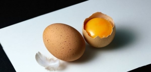 Veterináři zakázali prodej 200 tisíc vajec z Německa (ilustrační foto).