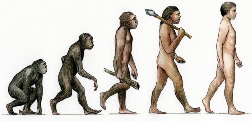 Homo sapiens se vyvinul asi před 200 tisíci lety v Africe.