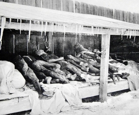 Oběti epidemie moru v Číně roku 1911. 