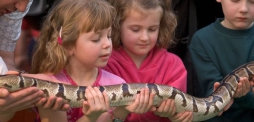 Strach z hadů se prý děti učí od rodičů.