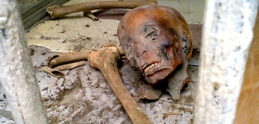 Jedna z mumií, které padly za oběť rabování v Egyptském muzeu v Káhiře.
