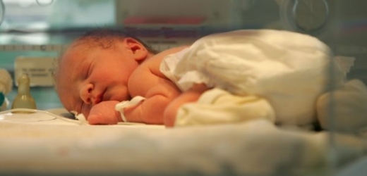 Novorozenec v inkubátoru (ilustrační foto).