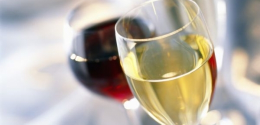 Do Salonu vín se letos dostalo 47 vinařů .