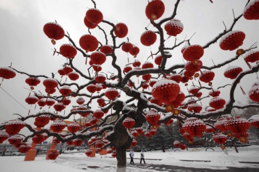 Pohled na zasněžené lucerny na stomě v Pekingském parku.