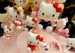 Kočička Hello Kitty je oblíbená především u malých dívek, které často žadoní o hračky nebo jiné drobnosti s jejím logem. Značka vyrábí nejrůznější předměty s motivem této kočky, od tužek přes pyžama a trička až po kabelky nebo třeba penály.
