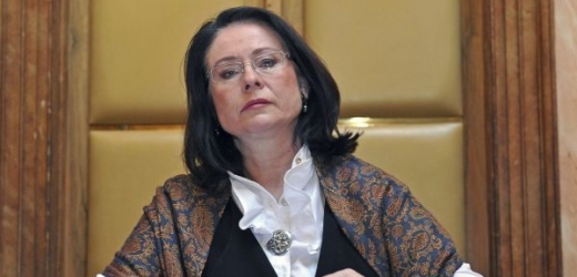 Jako svědkyně byla povolána předsedkyně Poslanecké sněmovny Miroslava Němcová.