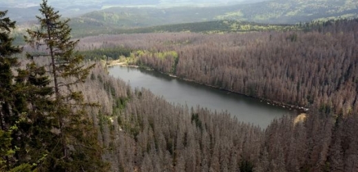 Národní park Šumava možná bude mít do dvou týdnů novou radu (ilustrační foto).