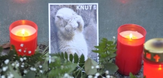 Celé Německo smutní kvůli ztrátě hvězdy berlínské zoo.