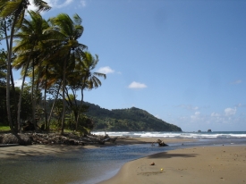 Ostrov Dominika, kde Moťovský údajně může být.