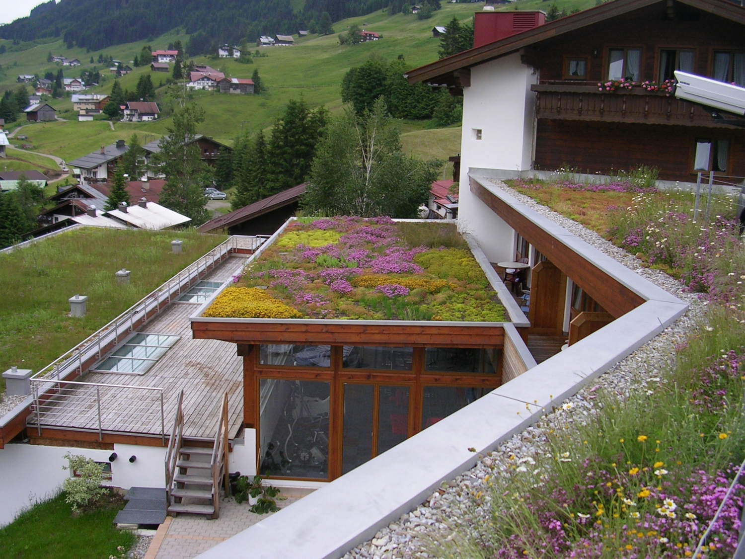 Зеленая крыша читать. Кандинский зеленая кровля. Швейцария Базель Озеленение крыш. Финдхорн зеленая крыша. Зеленая плоская кровля.