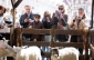 Rodiny s dětmi a turisté se zastavují především u minizoo, ve které si mohou pohladit ovce a kozy s kůzlátky.