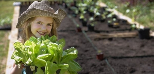 Pesticidy, chemické látky používané v zemědělství, se negativně projevují zejména na zdraví dětí.