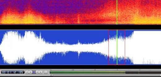 Podmořské mikrofony zachytily rekordně silný zvuk vyvolaný posunem litosférických desek při japonském zemětřesení.