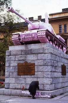 Původní tank natřený na růžovo.