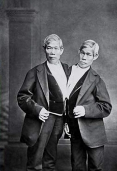 Eng a Chang zemřeli v roce 1874, bylo jim 63 let. 