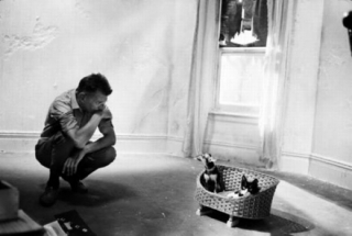 Samuel Beckett a Čekání na koťata...