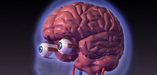 Lidské oči nejsou vůbec špatné, ale mozek jimi dodané informace dokáže zpracovat přímo geniálně.