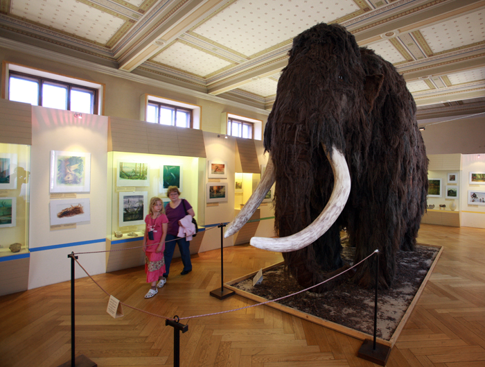 Po dobu rekonstrukce v muzeu zůstane několik exponátů z přírodovědeckých sbírek, zejména kostra velryby, vypreparovaný slon a žirafa.