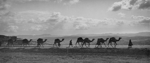 Egyptští beduíni roku 1914.