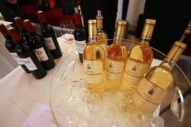 Vzorky ledových a slámových vín budou hodnotit domácí i zahraniční degustátoři. 