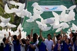 Korejci slavili i pouštěním balonků ve tvaru hrdliček. (Foto: ČTK/AP)