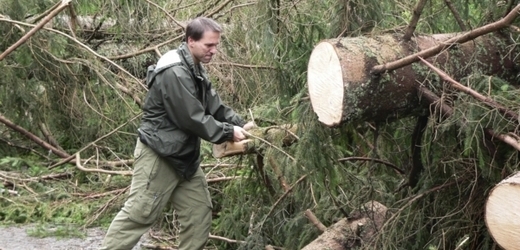 Pracovník Národního parku Šumava obhlíží na cestě mezi šumavskými obcemi Srní a Prášily následky včerejší bouřky.