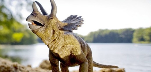 Nalezená kost zřejmě patřile Triceratopovi - rohatému dinosaurovi z rozhraní mezi křídou a třetihorami.