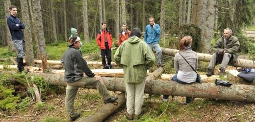 Aktivisté brání dřevorubcům, aby káceli stromy postižené kůrovcem.