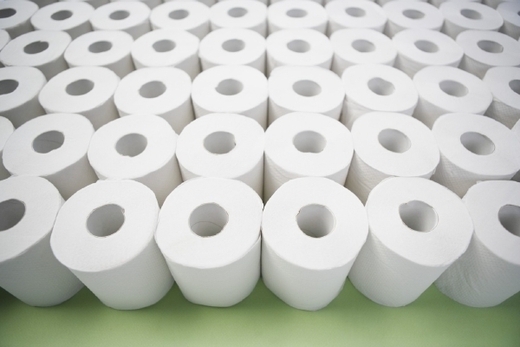 Dostane se toaletní papír až do Senátu (ilustrační foto)?