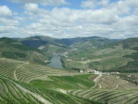Svahy okolo řeky Douro jsou ideálním místem pro pěstování vína. 