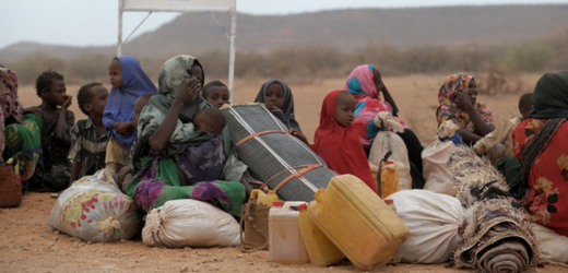 Podle Úřadu vysokého představitele OSN pro uprchlíky opustila kvůli násilnostem více než čtvrtina somálského obyvatelstva svoje domovy. Letos překročilo hranice Somálska přes sto třicet pět tisíc lidí, aby nalezlo úkryt či potraviny a vodu.