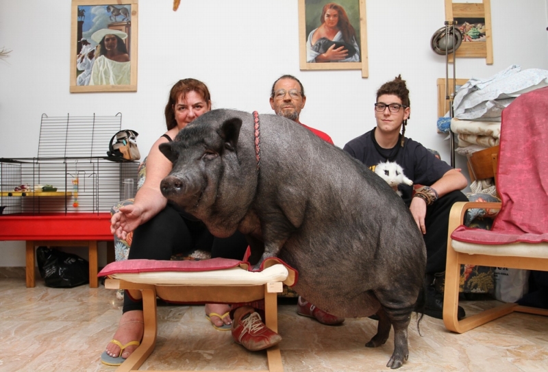 Rodina Squicciarini se svým mazlíčkem v obývacím pokoji.