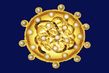 Virovou hepatitidou typu C se ročně nakazí až tisíc Čechů.