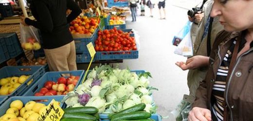 Rusko od úterý ruší zákaz dovozu zeleniny z Evropy.