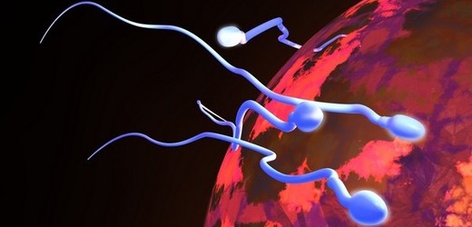 Spermie vypěstované z kmenových buněk jsou novou nadějí pro léčbu neplodnosti (ilustrační foto).