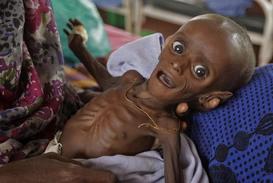 Podle odhadů může zemřít hlady 400 tisíc dětí.