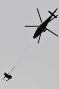 Hledat zatoulaná zvířata pomocí vrtulníku není v Barvorsku nic neobvyklého (ilustrační foto).