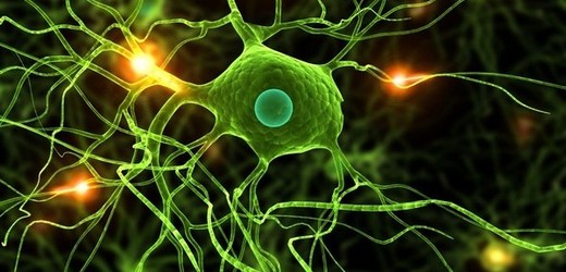 Nové čipy napodobují neurony v lidském mozku. Jen místo živých buněk používají křemíkové tranzistory.