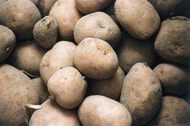 Vysoký výnos z lánů přinese v druhé polovině roku zlevnění brambor. 