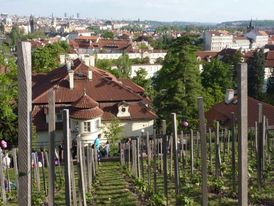 Pohled ze Svatováclavské vinice na Pražském hradě.