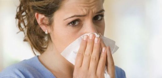 Alergie trápí podle odhadů až 20 procent populace.