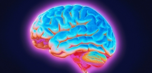 Vědci objevili mutaci genu, která způsobuje vážné onemocnění mozku (ilustrační foto).
