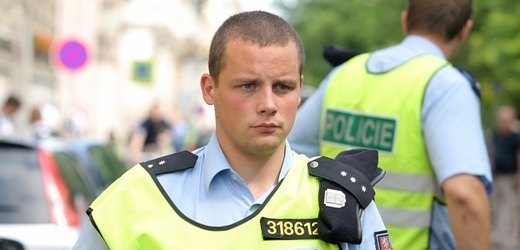 Policie ČR (ilustrační foto).