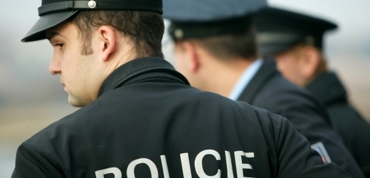 Pražští policisté pátrají po těhotné šestnáctileté dívce (ilustrační foto).
