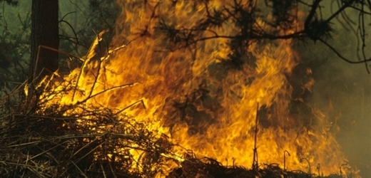 Požár (ilustrační foto).