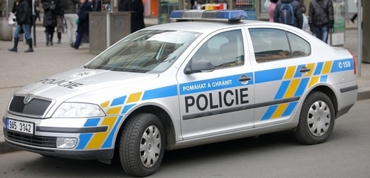 Žena údajně ukradla policejní vůz (ilustrační foto).