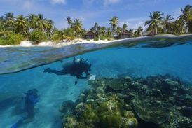 Marshallovy ostrovy patří k oblíbeným destinacím potápěčů.