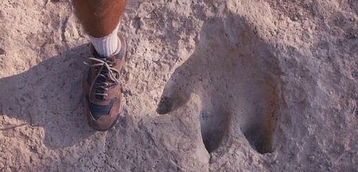 Dinosauří stopa v porovnání s lidskou nohou (ilustrační foto).