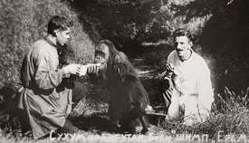 Profesor Ilja Ivanov se snažil prokázat Darwinovu teorii oplodňováním afrických žen spermatem šimpanzů.  